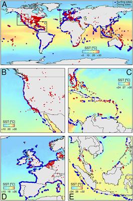 Expanding Aquatic Observations through Recreation